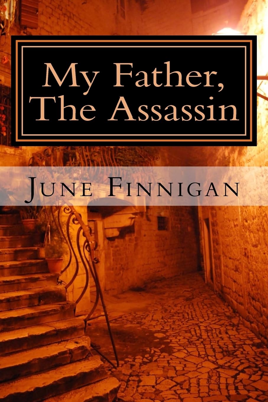 My Father, The Assassin: Volume 1 (The Continuing Adventures of Joanna Wilde)