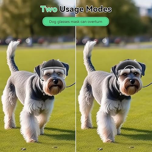 Miniatura 4 de Enjoying Casco para perro con lente transparente y agujeros para las orejas, casco de motocicleta para mascotas, sombreros de perro para perros