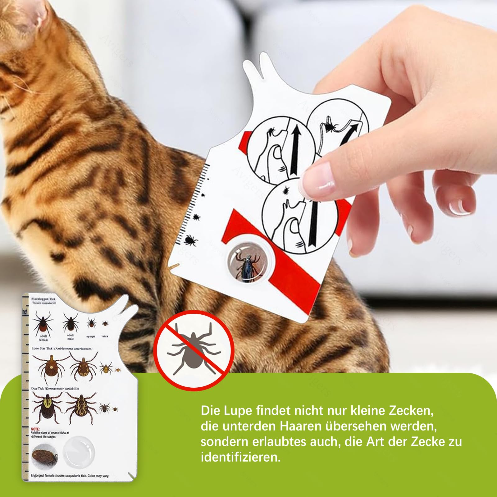 Avigers 3 tarjetas de garrapatas con lupa para humanos, niños, perros y gatos, tarjeta de garrapatas para personas al aire libre, camping y mascotas, tarjeta de tick para eliminar suavemente las