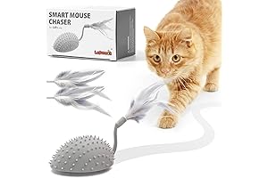 Interactive Cat Toy Mouse