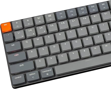 Gray Orange ABS Backlit LowProfile Keycaps, 101 Keys Custom Keycaps Compatible foe Keychron K1 K3 LowProfile Mechanical Keyboards
