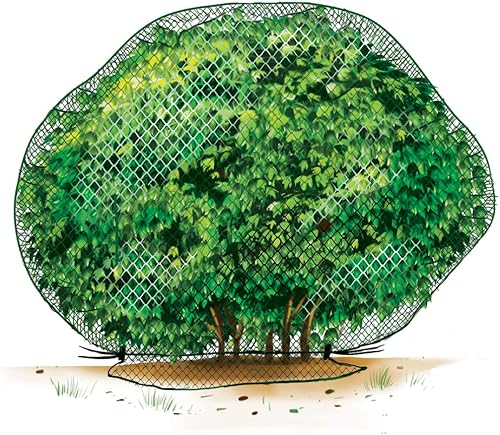 Cubierta de red para plantas tamaño grande de 10 x 10 pies para arbustos de hasta 4 pies a 5 pies de alto, mide 10 pies x 10 pies. Repele a los