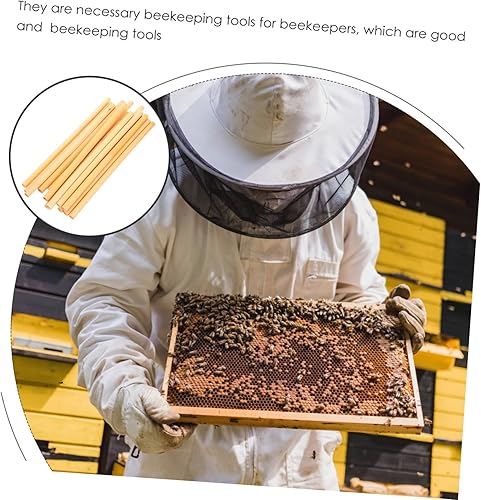 Miniatura 6 de GANAZONO 30 piezas de cañas de abejas, tubos de abejas al aire libre, suministros de abejas, tubos de anidación para abejas, tubos de recarga de