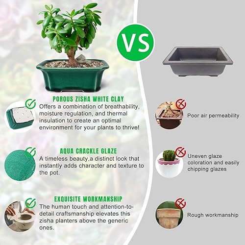 Miniatura 5 de Zisha - Juego de 2 macetas de arcilla blanca para bonsái esmaltadas poco profundas, color verde