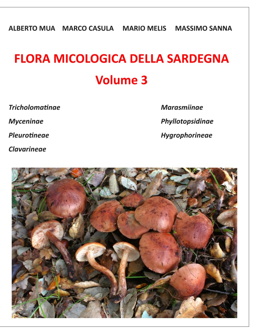 Flora Micologica della Sardegna. Volume 3