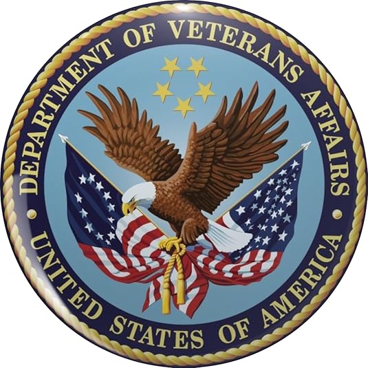 United States Department of Veterans Affairs (VA) Metal Lapel Hat Pin Tie Tack Pinback 0.75"