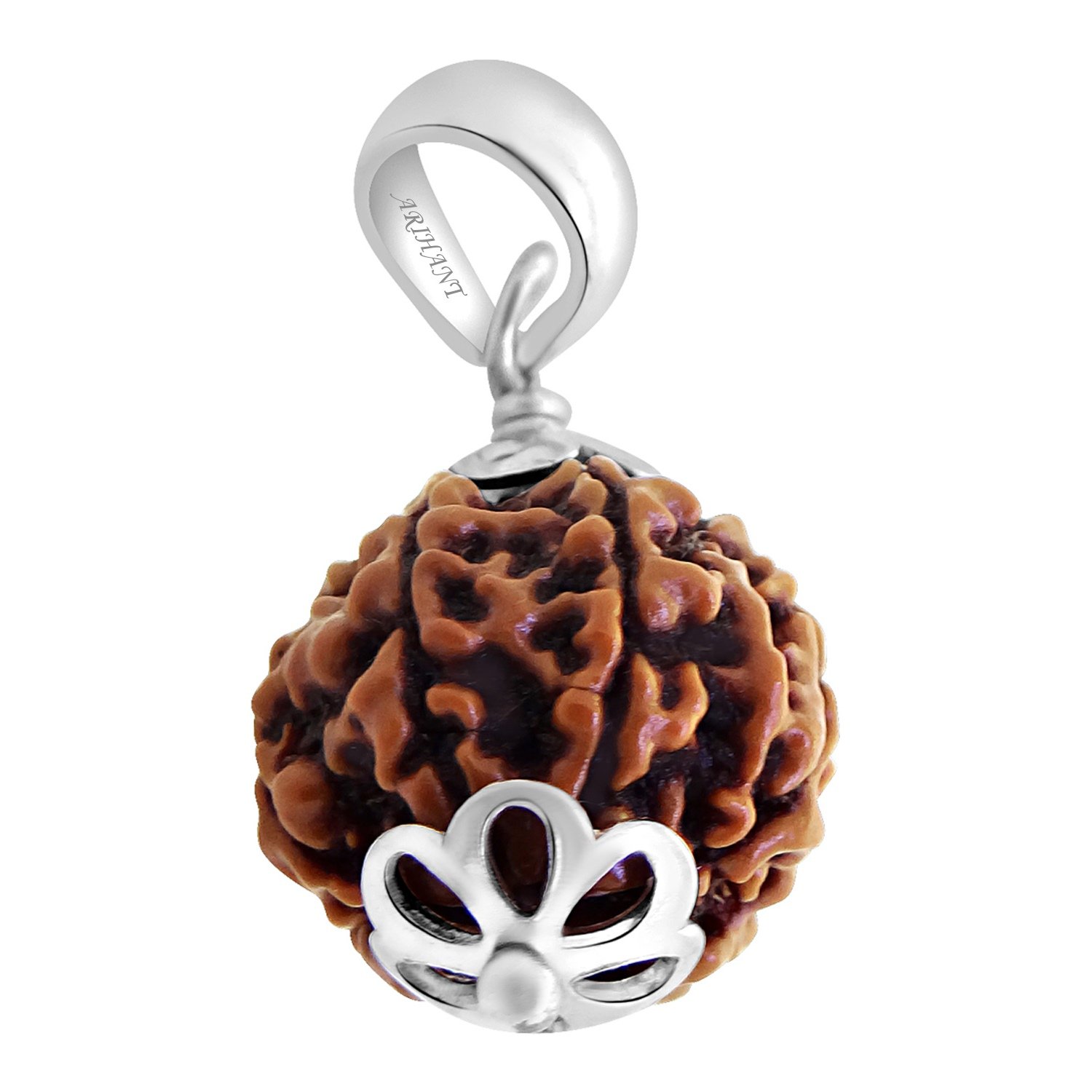 Natural 1-14 Mukhi Rudraksha Beads With Sterling Silver Pendant - Authentic & Certified Spiritual Necklace For Men & Women - View #4