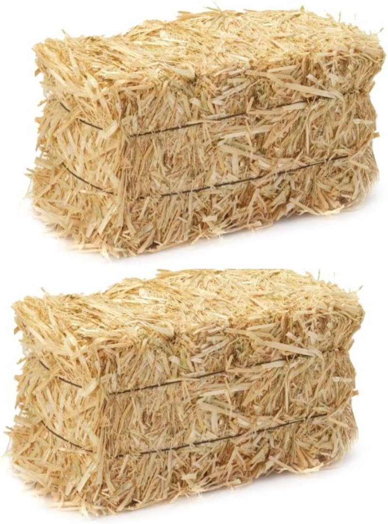 LJIF Thanksgiving Fall Harvest Autumn Fall Decorations, 3.5 in, 4 in. Straw Bales, 2 1/2-Inch-by-1 1/4-Inch-1-Inch Bale Bundle of 2