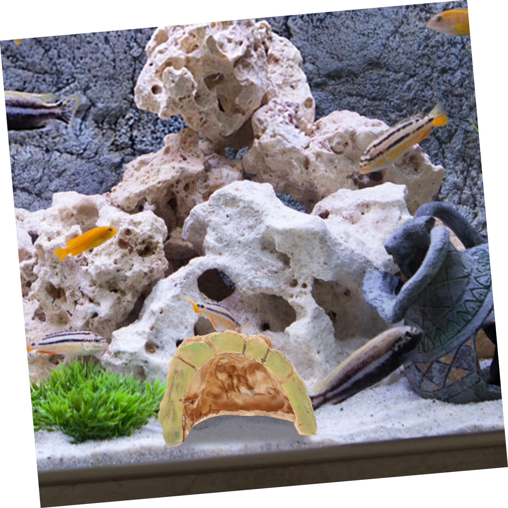YARNOW 5 Piezas Terraza geco Crestado de Agua Dulce Decoración para terrarios Decoración de terrario decoración Decorativa del terrario Cueva de Reptiles Resina