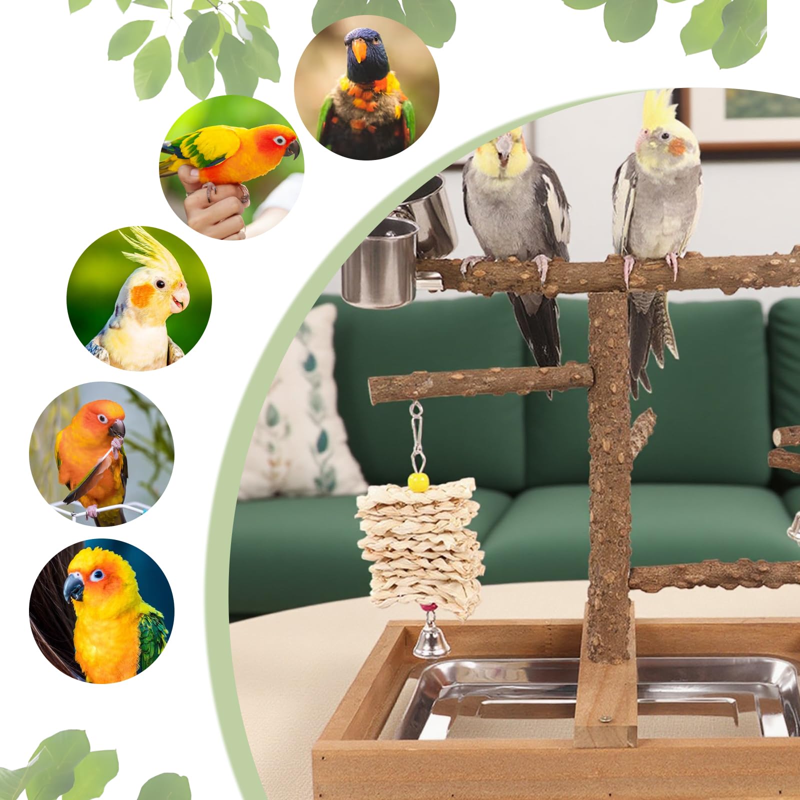Juguetes para Loros y Periquitos, Percha para PáJaros, Accesorios para Jaula con Bandeja, Comederos, Juguetes para Masticar Colgantes, Amplia Zona de Juegos para Periquitos, CacatúAs y Cotorras