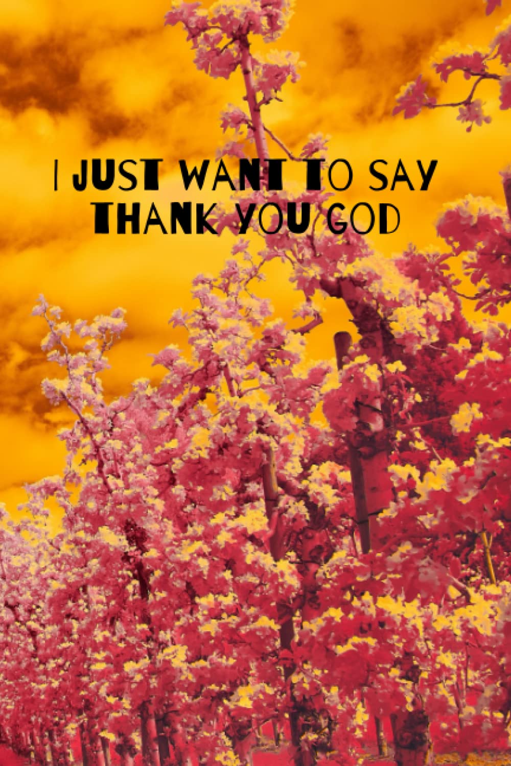 Independently published Prayer jornal for women: Prayer notebook for women of God
