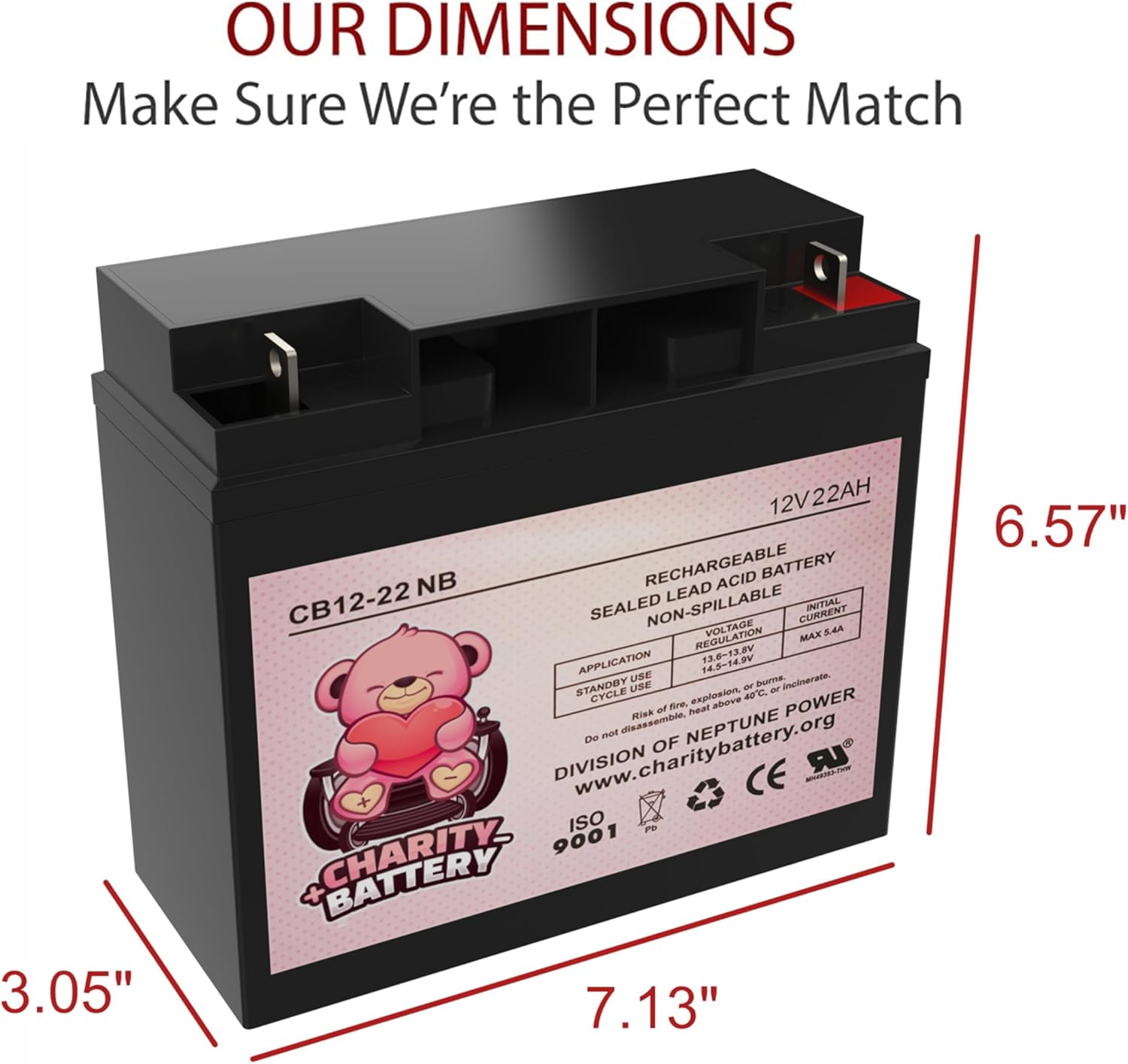 CB12-22 12V 22Ah SLA Battery Replacement for NP18-12 51814 6FM17 6-DZM-20 6-FM-18