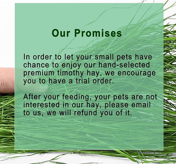 Timothy Hay 3.3 lbs - Premium Hay for Rabbits Guinea Pig Chinchilla - Hands Selected Natural Fresh Hay