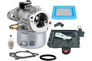 Briggs and Stratton Engine Rebuild Kit