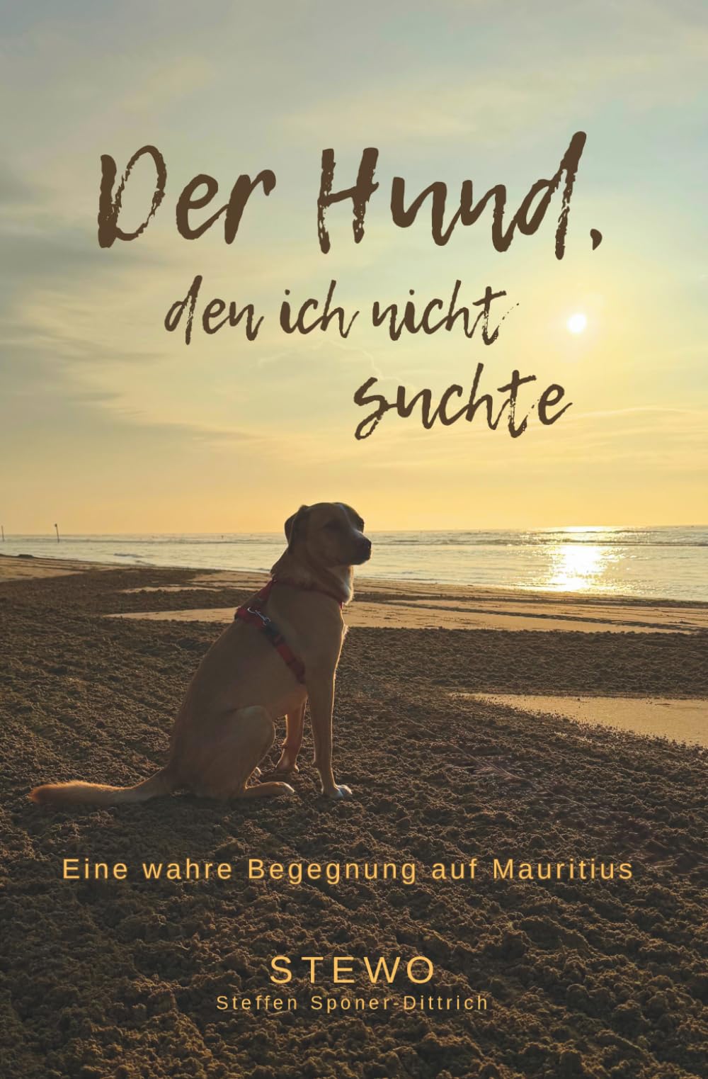 Der Hund, den ich nicht suchte: Eine wahre Begegnung auf Mauritius