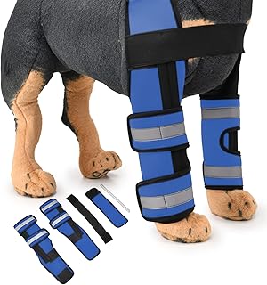 dog leg brace amazon