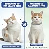 Collar Antipulgas y Garrapatas para Gatos (2 Paquete) – Collar Impermeable Natural con 8 Meses de Protección, Ajustable, Incluye Herramientas para Quitar Garrapatas y Peine Antipulgas 5