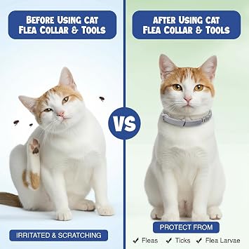 Cat Flea and Tick Collar (2 Pack) Natural Waterproof Flea Collar for Cats & Kittens with 8 Month Protection Adjustable Cat Flea Collar Includes Tick Removal Tools & Flea Comb