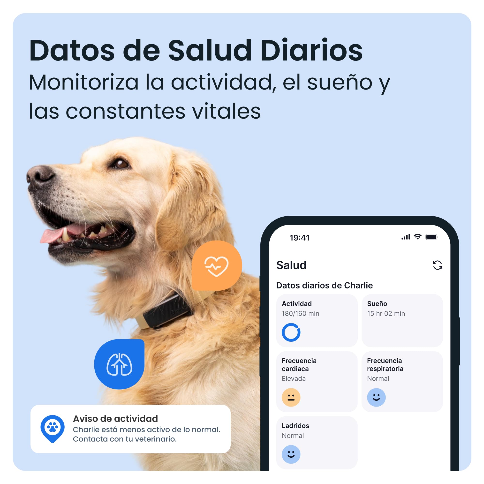 Tractive GPS para Perros Inteligente - Bundle con Funda Verde Oliva | 2025 Edición | Localización GPS en Tiempo Real | Alertas Antifuga y Avisos de Salud | Monitor de Constantes Vitales (Negro)