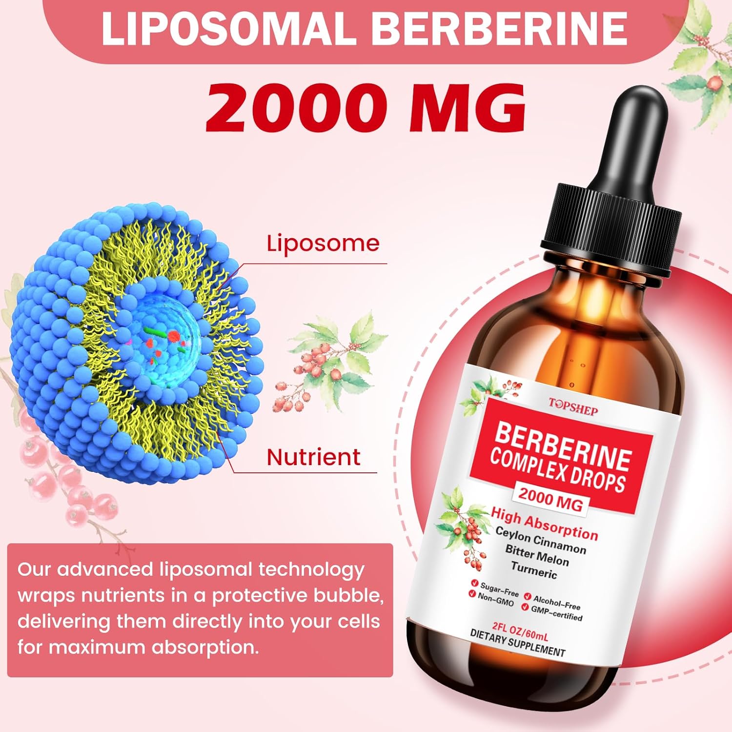 Liposomal Berberine HCL Supplement Liquid Drops 1500mg, Berberin with Ceylon Cinnamon, Bitter Melon, Turmeric, Glucomannan, Moringa, Berberine Phytosome for Digestion System, Immune Health Support - Image 4