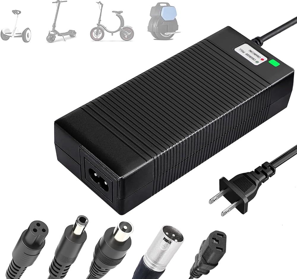 Ebike Charger