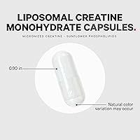 Vista 7 de Codeage Suplemento de monohidrato de creatina liposomal, creatina pura de 2500 mg – suministro de 3 meses, micronizada, músculos de creatinina