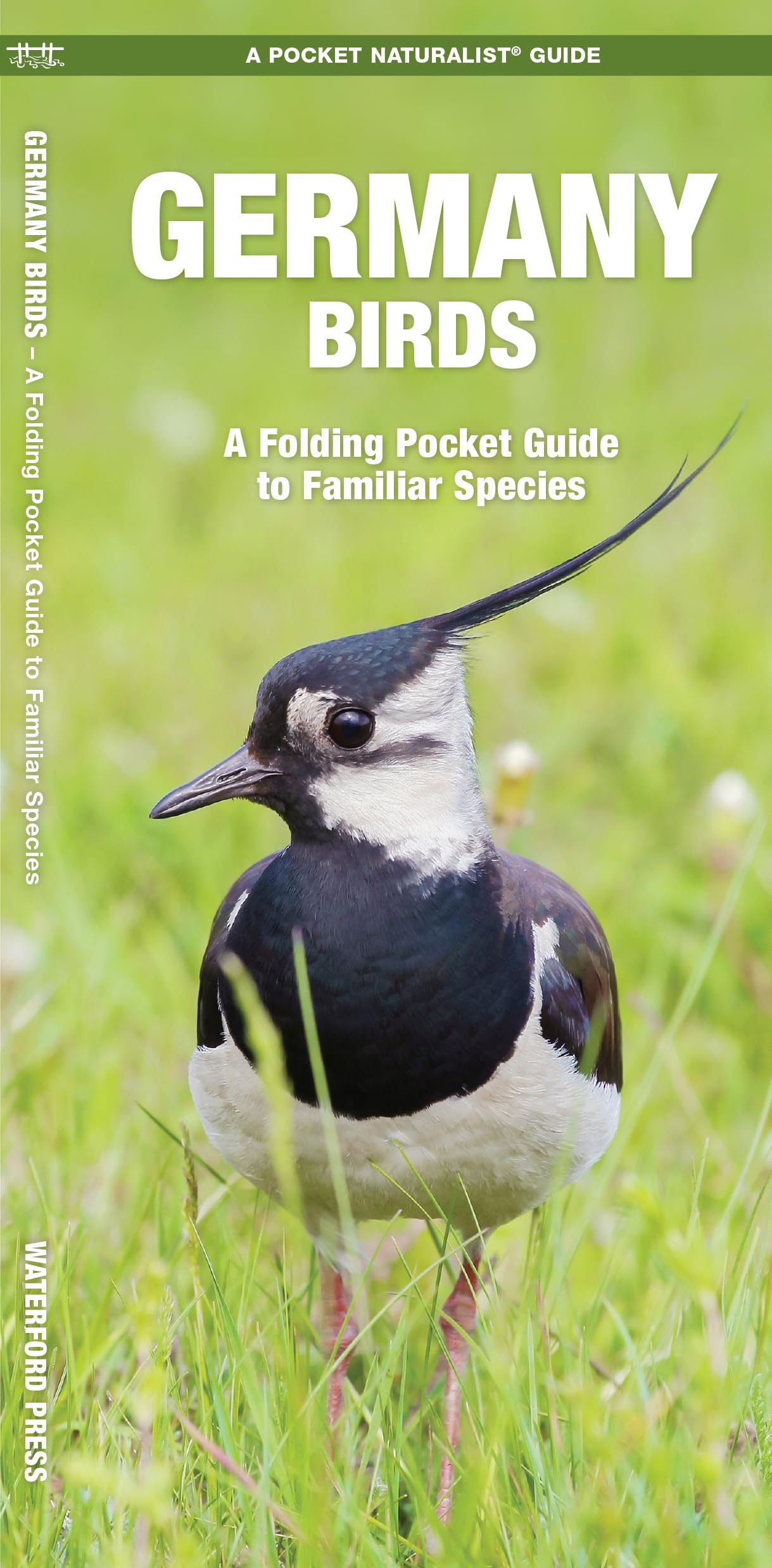 Germany Birds: A Folding Pocket Guide to Familiar Species (Pocket Naturalist Guide) (Nature Observation International)