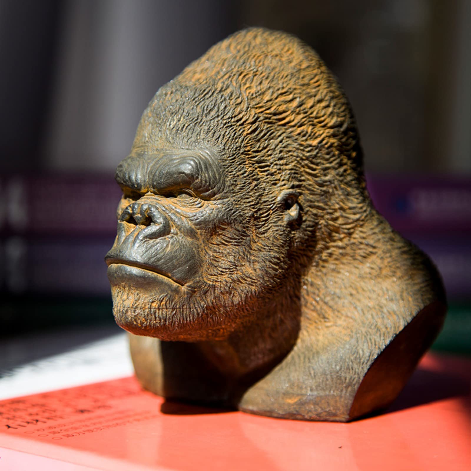 Statue Tête De Gorille En Résine - Buste Animal Déco Salon, Design Creux, Noir, 16x16 Cm