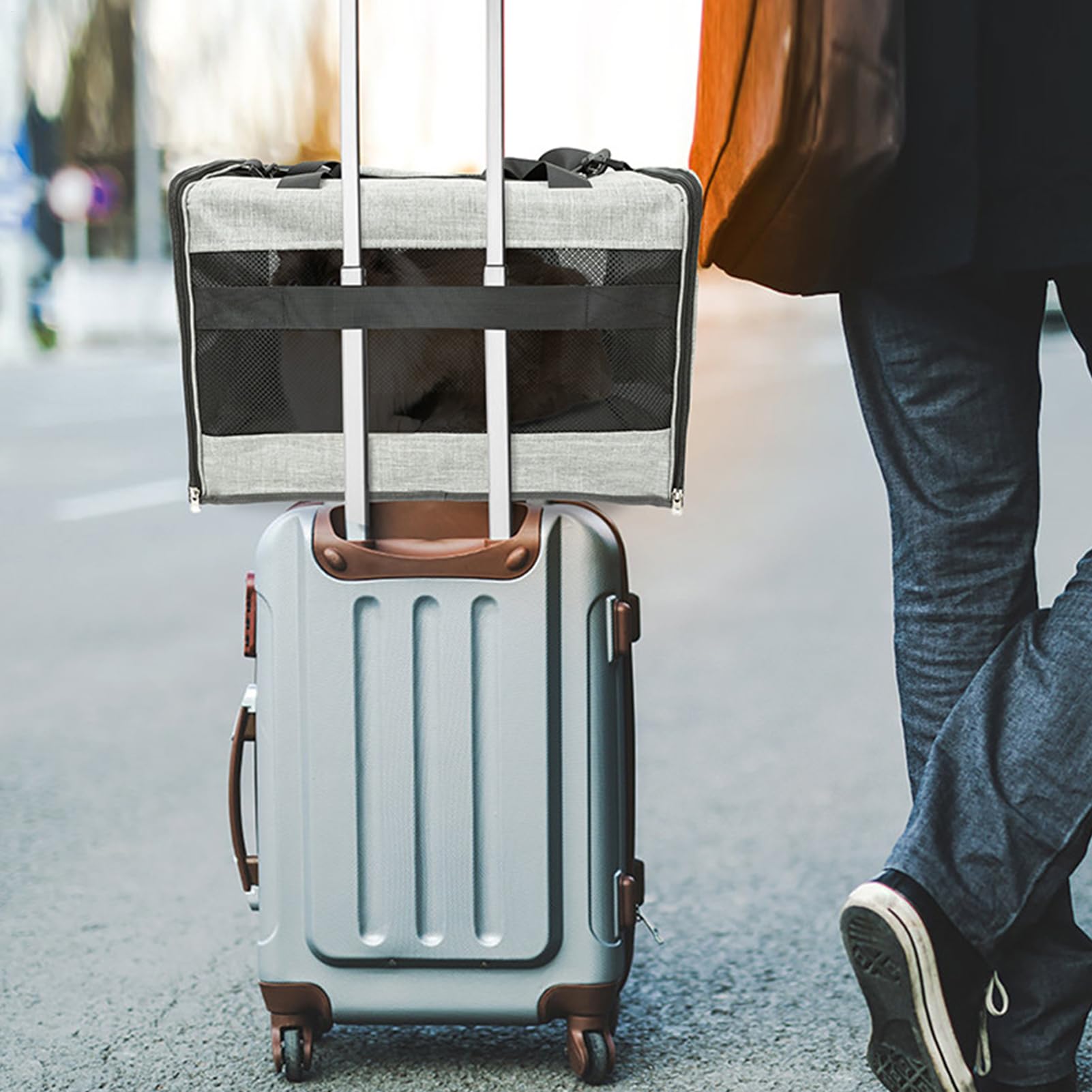 Transportín para Gatos con Ruedas - Transportín para Mascotas con Correa para el Hombro | Transportines para Gatos con Ruedas, Transportines para Mascotas con Ruedas para Viajar, Paseos Diarios,