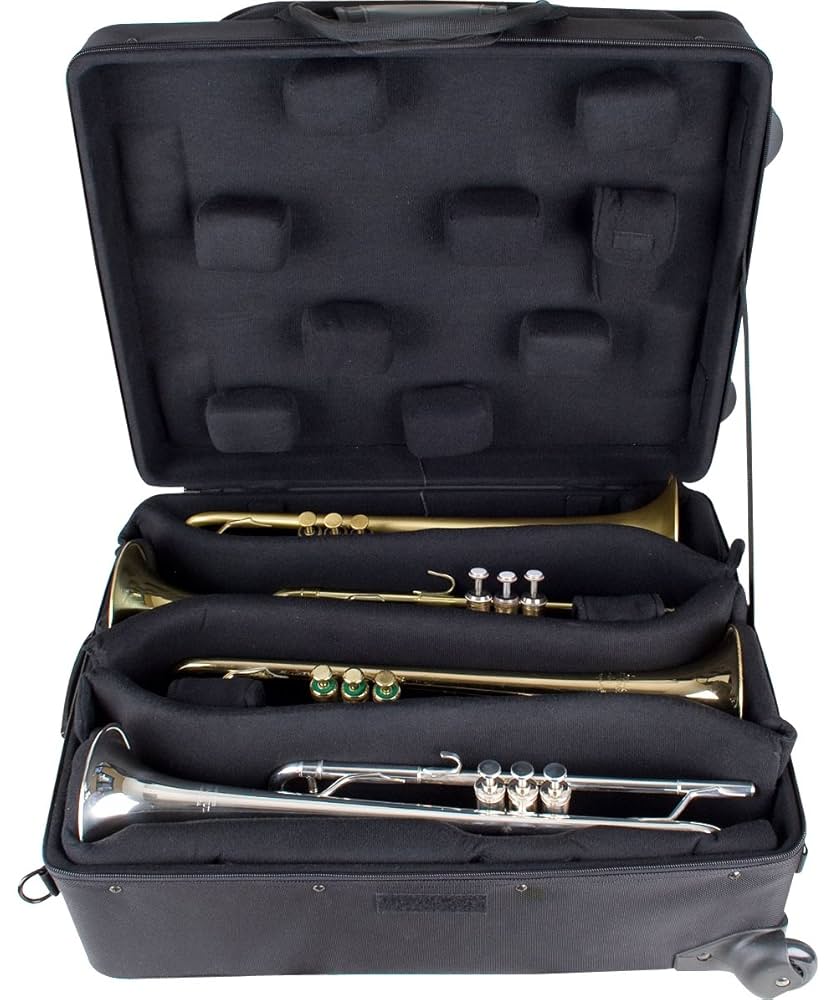 【ジャンク品】トランペット クワッドケース 4本ケース プロテック ジャンク品】トランペット クワッドケース 4本ケース プロテック