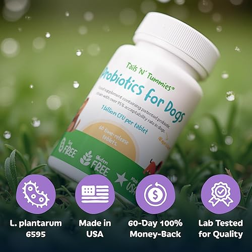 Miniatura 6 de Probióticos para perros por Tails 'N' Tummies