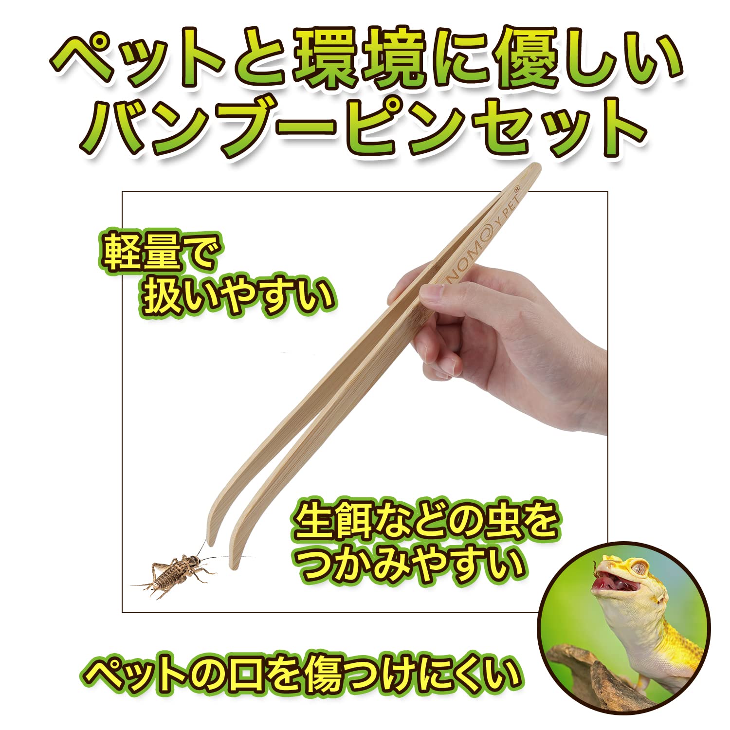 バンブーセット Amazon.co.jp: CURE（キュア）生餌用 活餌用 バンブーピンセット