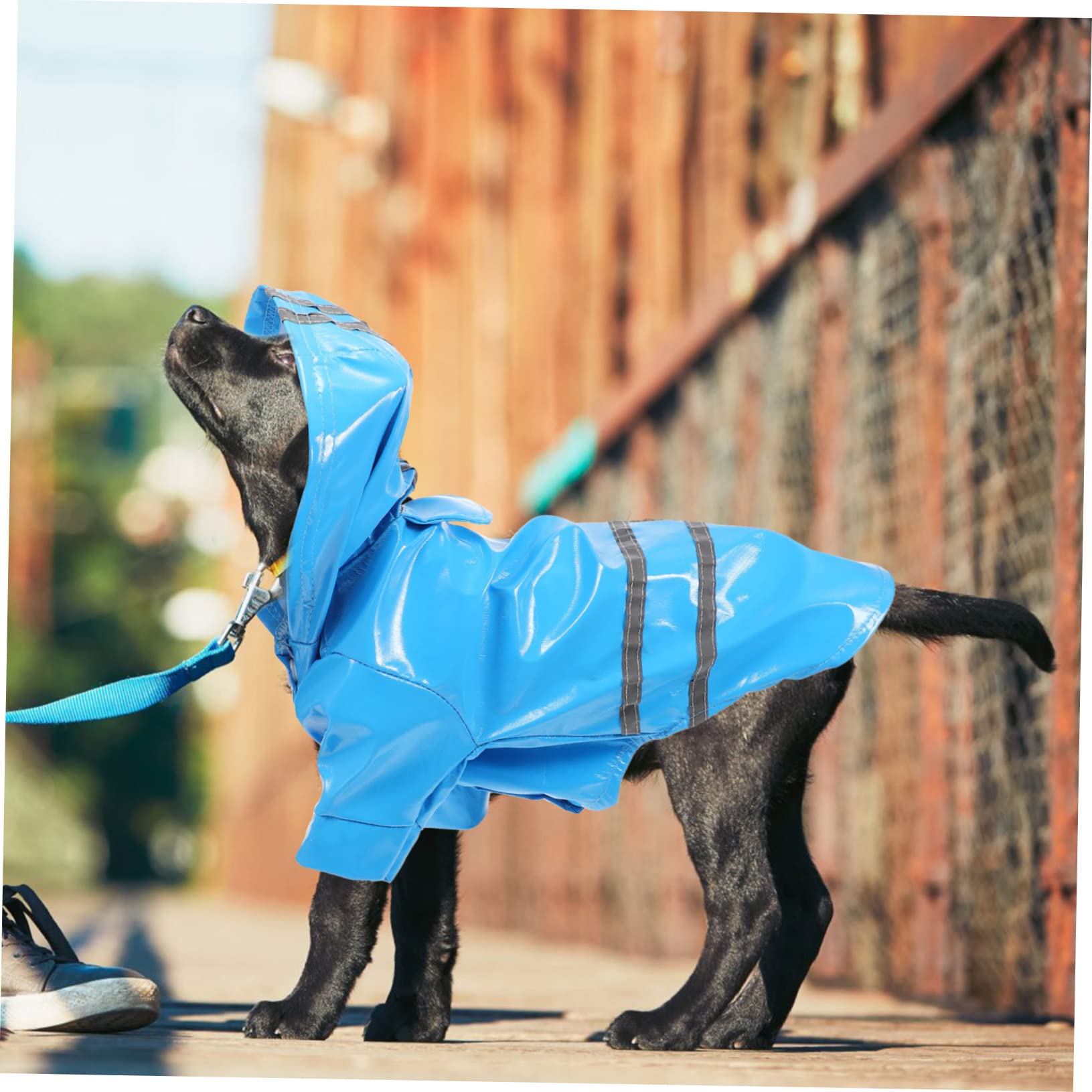 HOLIDYOYO Reflective Pet Raincoat for Small Dogs Waterproof Rain Boots for Puppies