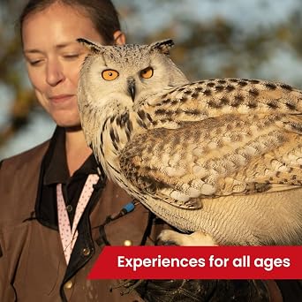 Activity Superstore Fun Family Days Out Gift Voucher