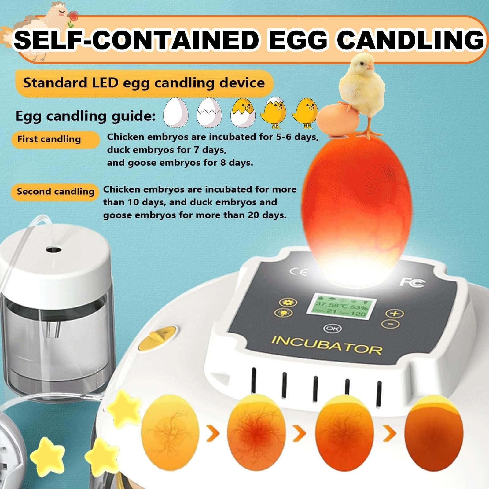 Incubadora Huevos Gallina - Incubadora AutomáTica De 22huevos Controles AutomáTicos De Temperatura Y Humedad HigróMetro Y Pantalla Led Digital, para Incubar Pollos, Codornices Y Patos