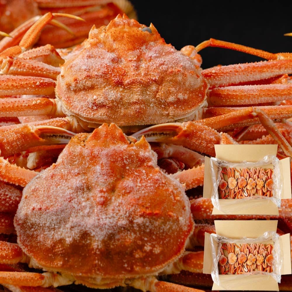 九寸 切り付け V金10号 柳刃 包丁 和包丁 朴木 八角柄 本焼 鏡面仕上げ