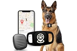 Loc8tor Pet Tracker for Apple AirTag Dog Collar