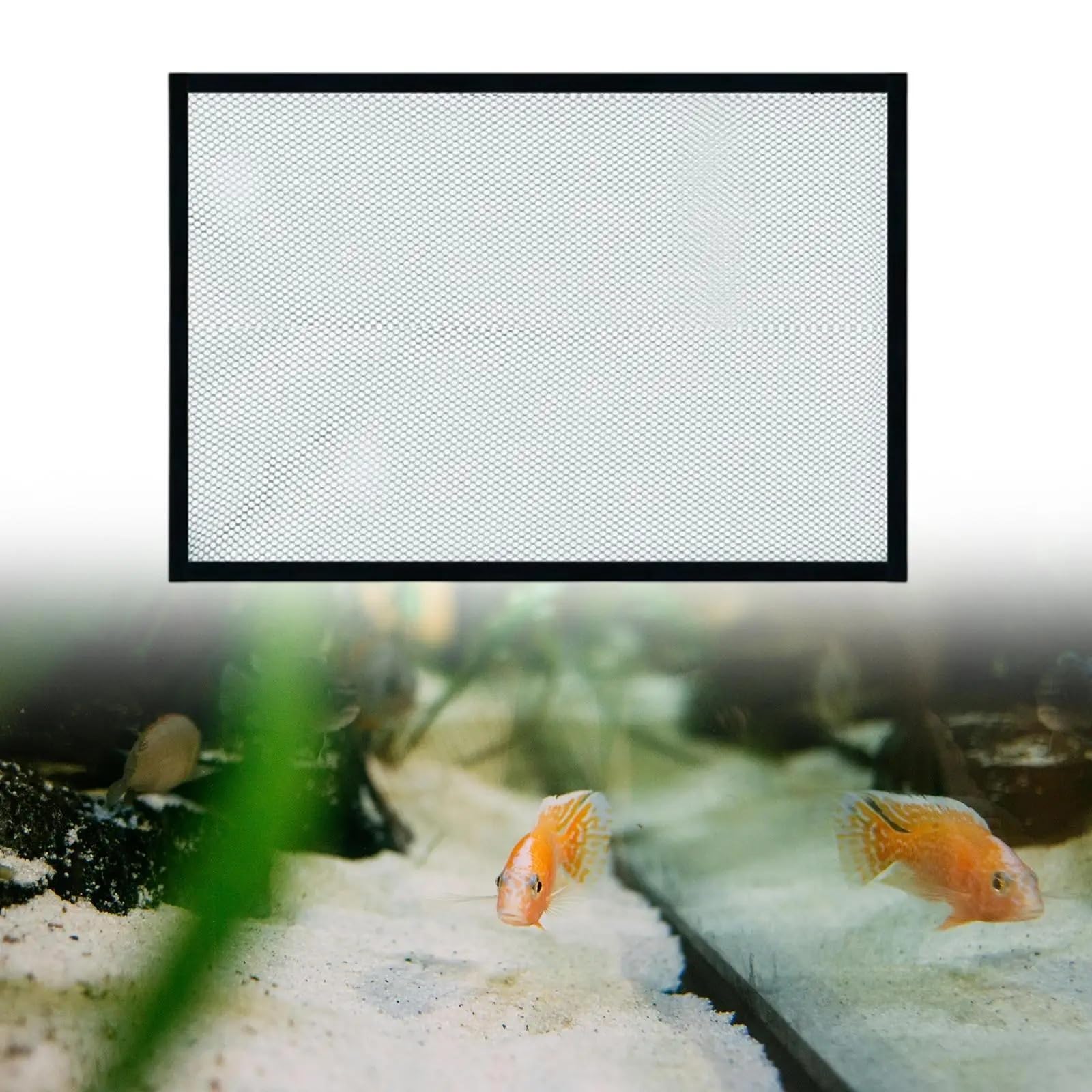 Tapa De Tanque Peces, Cubierta Magnética for Acuario, Red Antisalto, Pantalla Transparente Malla Artesanal, Resistente, Fácil Configurar