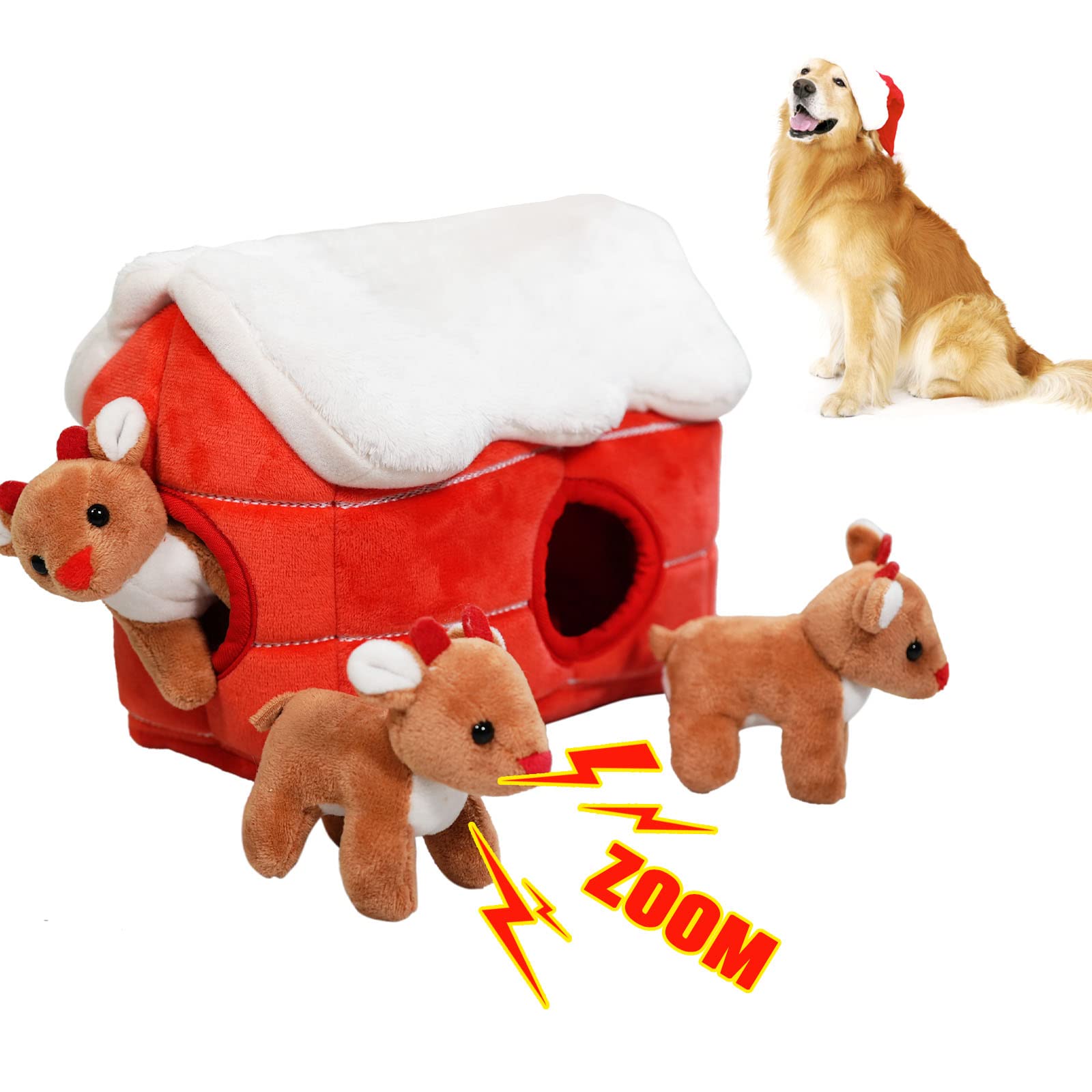 Why Does My Puppy Like To Hide