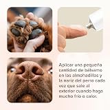 Ver la foto 6