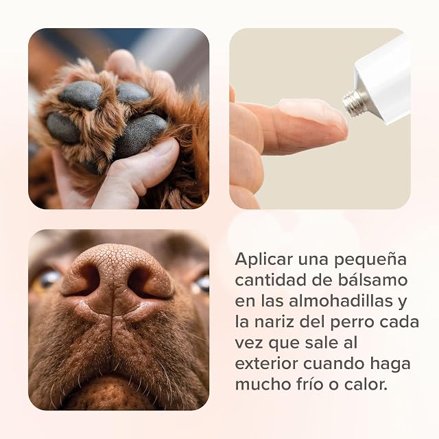 Foto 6 de 8 de Beaphar Bálsamo Almohadillas 40ml, Protector Almohadillas Perro y Gato, para Asfalto Caliente Arena o Nieve