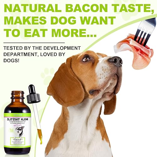 Miniatura 8 de Cardo mariano para perros, gotas de apoyo al hígado de perro  Cardo lechoso para perro ayuda a la desintoxicación del hígado del perro, suplemento