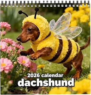 2026年壁掛けカレンダー ダックスフント 2026年1月~2026年12月 年間計画 計画整理 プランナー 全ページレイアウト 厚手で丈夫な紙 耐久性 写真付き かわいい ホームデコレーション 犬好き向け 贈り物 プレゼント オフィス 自宅用 40x28cm