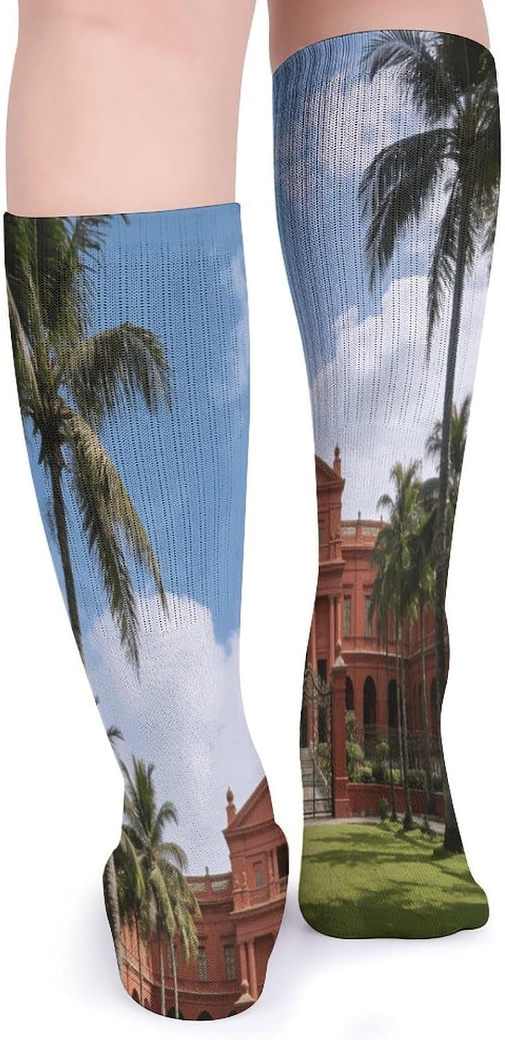 Istana Crew Socks Cozy Casual Calf Socks Lightweight Long Work Sock Breathable Athletic Sock for Hiking Sports Running 5 Pairs