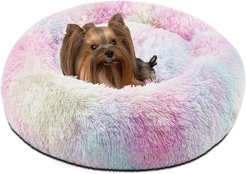 Friends Forever Donut - Cama con forma de dona para gatos y perros medianos y pequeños, camita redonda para interiores