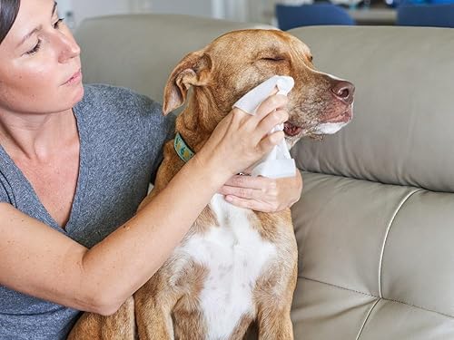 Miniatura 70 de Pet Parents® Pet WiPees™ - Toallitas multiusos para perros + piel y pelaje para mascotas, toallitas para perros, toallitas para perros y cachorros