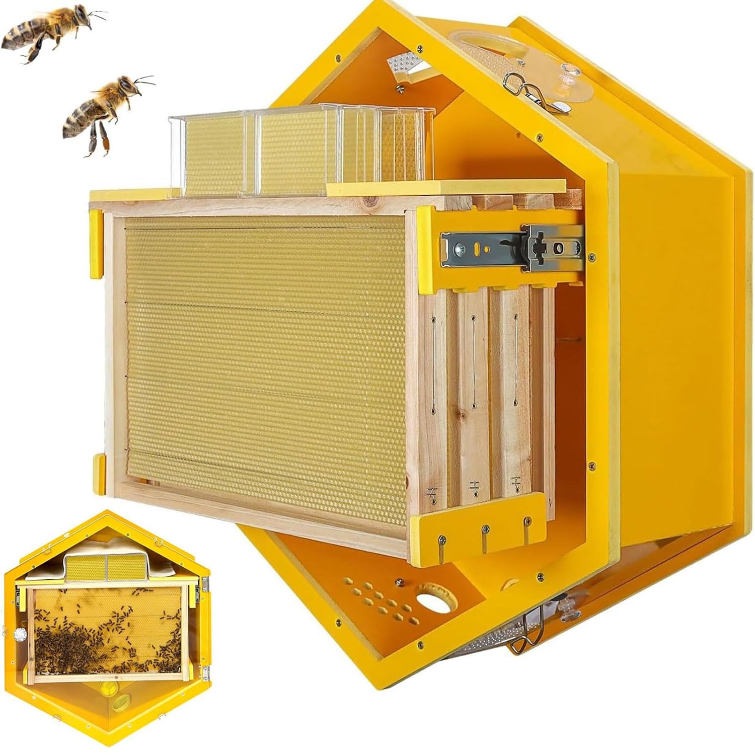 Colmena de pared hexagonal para interiores que optimiza la observación de abejas