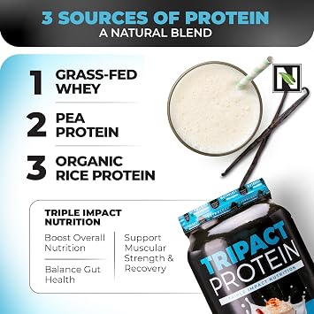 Nutrology TRIPACT Protein Powder, 7-in-1 Meal Replacement Shake, Vanilla Latte Cinnamon (40 Servings) & Greens & Fruits Powder-Naturally Sourced Superfood, Vanilla Cinnamon (30 Servings)