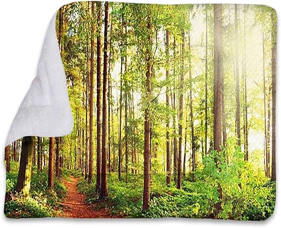 Review Green Brown Ultra Soft Dog Cat Bed Mat Sunrays seen Through Trees Scenery Self Warming Crate Pad with Soft Sherpa Top for Dogs, Cats, Pets by Forest Scenic 18″ x 22″
