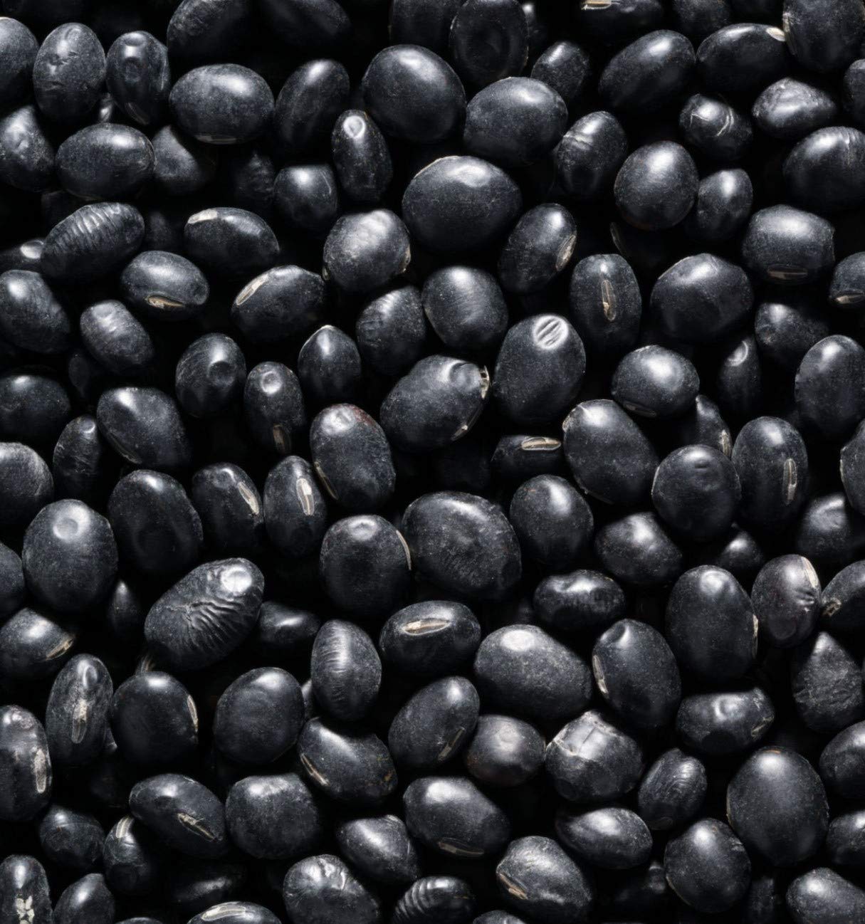 Dry Black Beans 10 Pounds